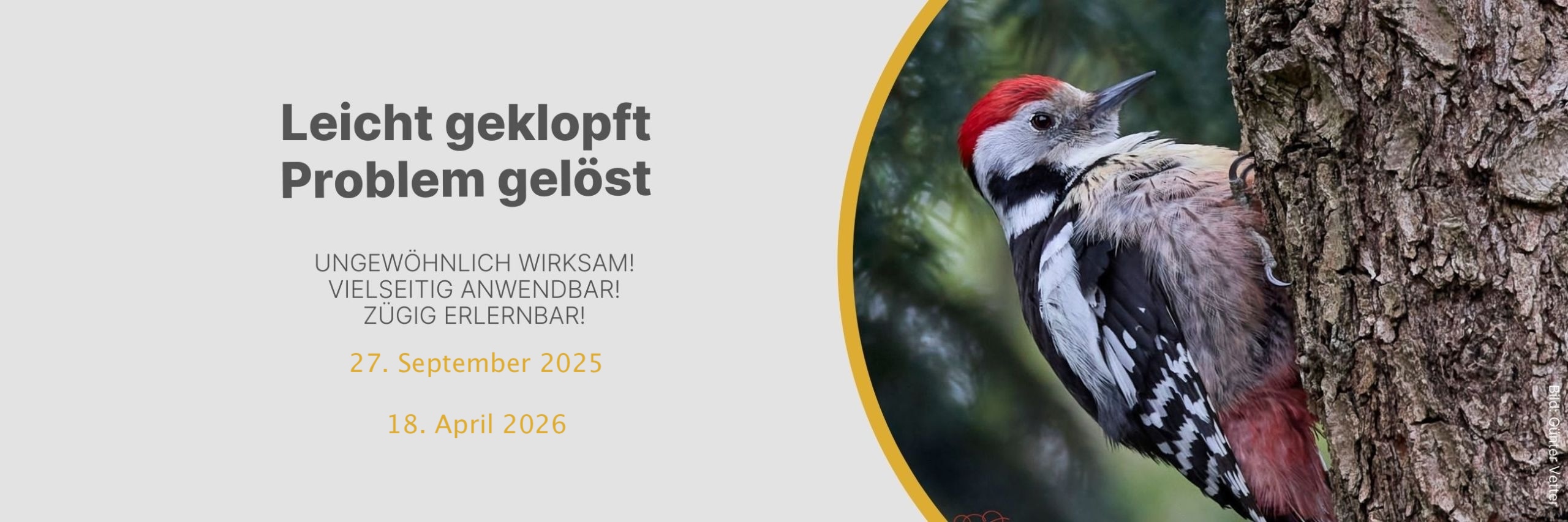 Banner-Klopfen