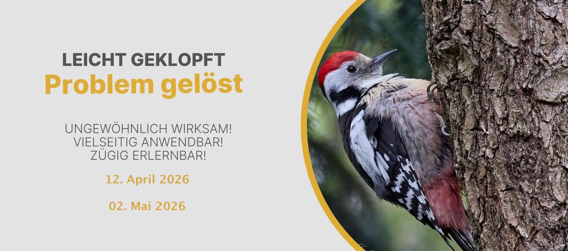 Leicht geklopft - Problem gelöst